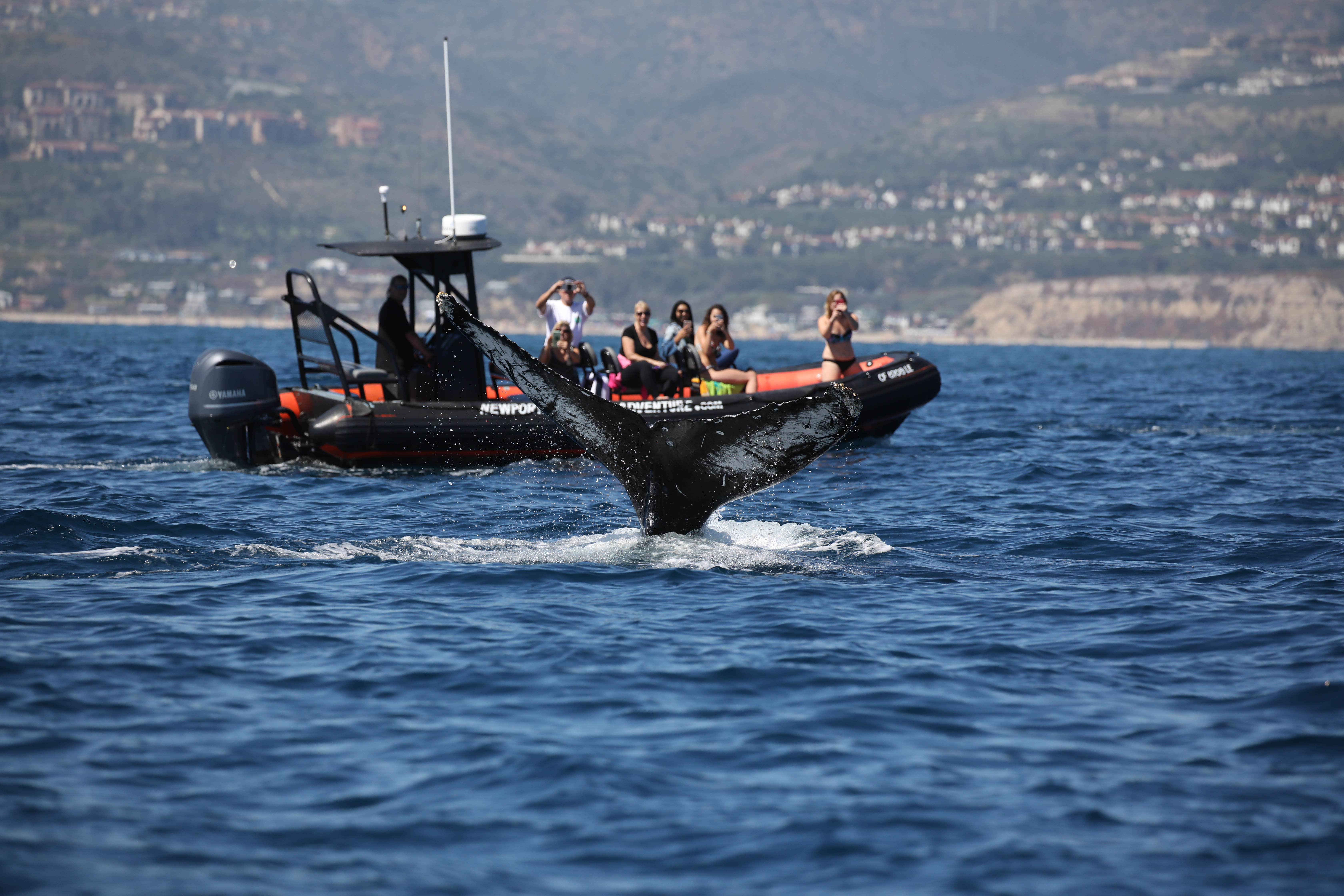 home_developer2_contentslider_1